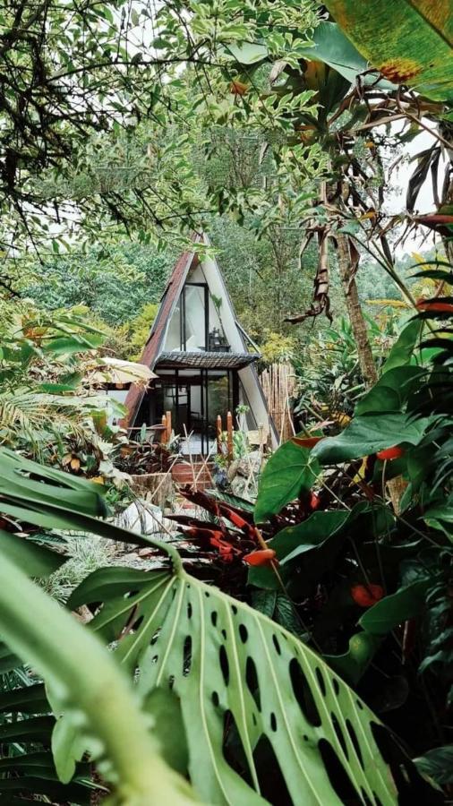 Готель Glamping Salento Con Jacuzzi Climatizado Екстер'єр фото